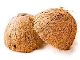 Coconut Shell